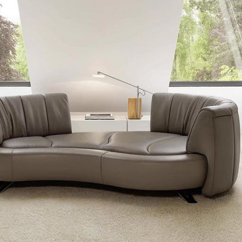 Backrest track rotating sofa