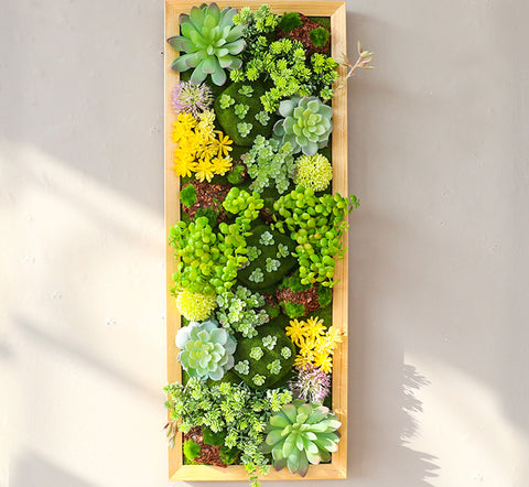 Wall-hung plants decorate the background wall with green plants, and the deer head is fleshy.