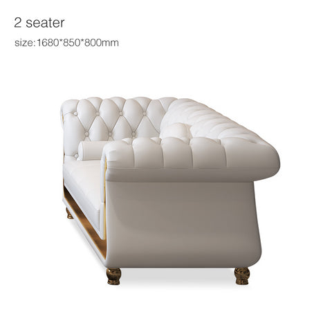 modern furniture sofa Light luxury leather modern furniture sofa American living room 123 combination sofa