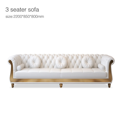 modern furniture sofa Light luxury leather modern furniture sofa American living room 123 combination sofa